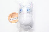 Coo'nyats Part.2 [8.Hachiware (blue) <long hair> [day]]