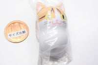 Coo'nyats Part.2 [14.Hachiware (brown) <short hair> [day]]