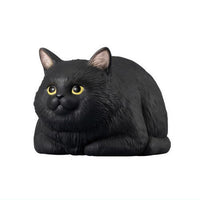 Mocchiri Kororin Neko [8.Koubako Black]