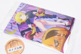 Monogatari Series Off & Monster Season Wafers [13.Visual card]
