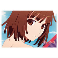 Monogatari Series Off & Monster Season Wafers [28.Story card]
