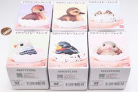 Tenori Baby Friends Bird [All 6 type set(Full Complete)]