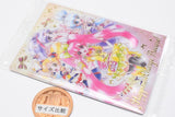 PreCure Card Wafer Part.11 [18.Happiness Charge PreCure (SSR) (foil stamping)]