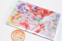 PreCure Card Wafer Part.11 [19.Mahou Tsukai PreCure (SSR) (foil stamping)]