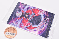 Touhou Lost Word Wafer [17.Renko Usami (Character Cards)]