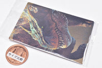 Monster Hunter 20th Anniversary Card Wafer [23.Tigrex (Monster Card)]