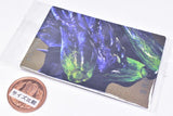 Monster Hunter 20th Anniversary Card Wafer [27.Brachydios (Monster Card)]