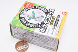 Pokemon Kids Terapagos Edition [2.White Zygarde (10% Forme)]