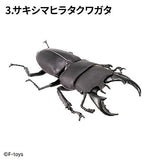 Insects Hunter Kabutomushi x Kuwagata 2025 (Beetles x Stag Beetle) [3.Dorcus Titanus Sakishimanus]