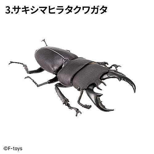 Insects Hunter Kabutomushi x Kuwagata 2025 (Beetles x Stag Beetle) [3.Dorcus Titanus Sakishimanus]