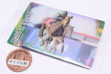 Thoroughbred Horse Collection Twin Wafers [4.Ushba Tesoro 27th Dubai World Cup (GI)]