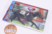 Thoroughbred Horse Collection Twin Wafers [11.Contrail 87th Tokyo Yushun (GI)]