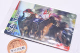 Thoroughbred Horse Collection Twin Wafers [15.Screen Hero 28th Japan Cup (GI)]