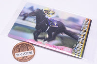 Thoroughbred Horse Collection Twin Wafers [19.Dance in the Mood 64th Oka Sho (GI)]