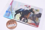 Thoroughbred Horse Collection Twin Wafers [21.Tokai Teio 12th Japan Cup (GI)]