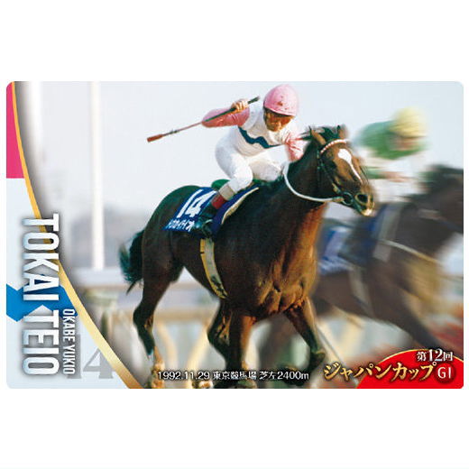 Thoroughbred Horse Collection Twin Wafers [21.Tokai Teio 12th Japan Cup (GI)]