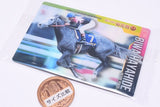 Thoroughbred Horse Collection Twin Wafers [22.Biwa Hayahide 54th Kikuka Sho (GI)]