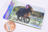 Thoroughbred Horse Collection Twin Wafers [24.Meisho Samson 136th Tenno Sho (Autumn) (GI)]