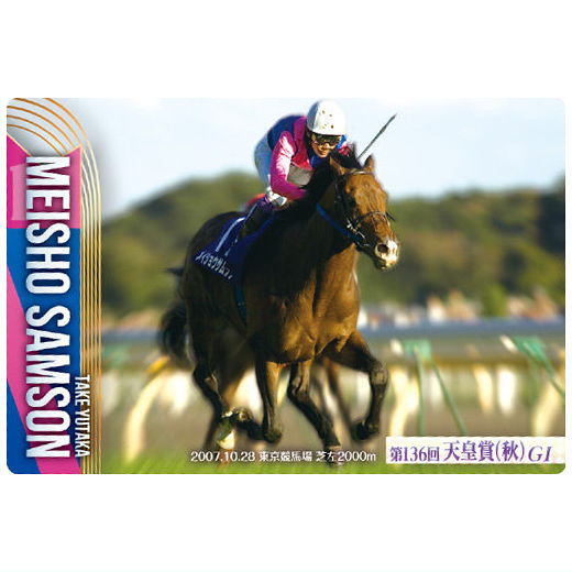 Thoroughbred Horse Collection Twin Wafers [24.Meisho Samson 136th Tenno Sho (Autumn) (GI)]
