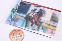 Thoroughbred Horse Collection Twin Wafers [30.Roger Barows 86th Tokyo Yushun (GI)]