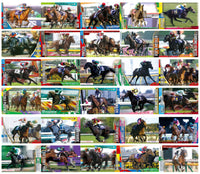 Thoroughbred Horse Collection Twin Wafers [Normal 30 type set (Signed cards are NOT including)]