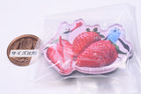 PUPPET SUNSUN Chara Magnets [6.Strawberry]