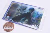 Project Sekai Colorful Stage! feat. Hatsune Miku Wafer Part.10 [13.KAITO (character card)]