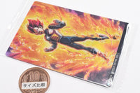 Itajaga Dragon Ball vol.7 [21.Super Saiyan God Vegeta(R)]