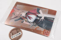 Blue Archive wafer Part.4 [22.Rumi (Character Card)]