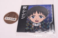 Niforamtion Neon Genesis EVANGELION Sticker Wafer Completion Plan [1.Shinji Ikari (Rare)]
