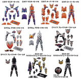 SO-DO Kamen Rider Gavv GV4 [All 10 type set (Full Complete)]