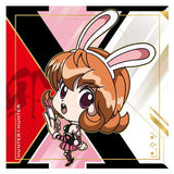 Niforamtion HUNTER x HUNTER Seal x Wafer Vol.8 [10.Pyon (Junishin Normal)]