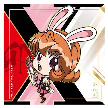 Niforamtion HUNTER x HUNTER Seal x Wafer Vol.8 [10.Pyon (Junishin Normal)]