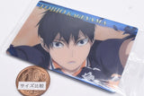 Haikyuu!! Wafer Part.6 [2.Tobio Kageyama (Character Card)]