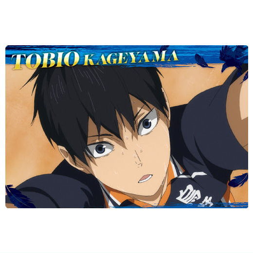 Haikyuu!! Wafer Part.6 [2.Tobio Kageyama (Character Card)]