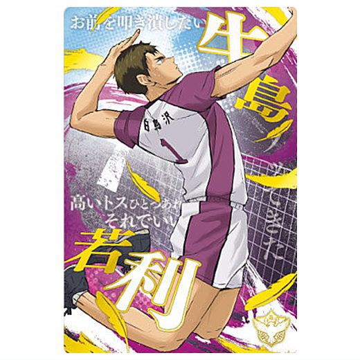 Haikyuu!! Wafer Part.6 [31.Wakatoshi Ushijima (Special Rare Card)('Tsunagaru' School Visual)(Gold Foil Stamp)]