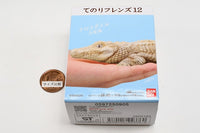 Tenori Friends Part.12 Reptile & Amphibian [5.Crocodile white morph]