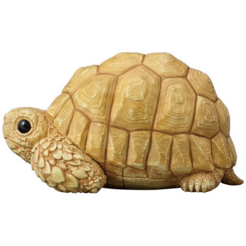 Tenori Friends Part.12 Reptile & Amphibian [7.Geochelone elegans white morph]