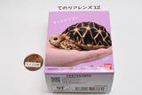 Tenori Friends Part.12 Reptile & Amphibian [8.Geochelone elegans]