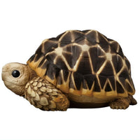 Tenori Friends Part.12 Reptile & Amphibian [8.Geochelone elegans]