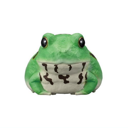 Tenori Friends Part.12 Reptile & Amphibian [9.Chacophrys pierotti]