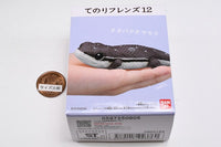 Tenori Friends Part.12 Reptile & Amphibian [11.Peters's Spotted Gecko]