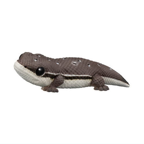 Tenori Friends Part.12 Reptile & Amphibian [11.Peters's Spotted Gecko]