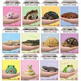 Tenori Friends Part.12 Reptile & Amphibian [All 12 type set(Full Complete)]