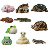 Tenori Friends Part.12 Reptile & Amphibian [Assorted 10 type set (1.2.3.4.6.8.9.10.11.12)]