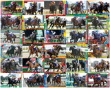 Thoroughbred Horse Collection Twin Wafers Part.3 [Normal 30 type set (Signed cards are NOT including)]