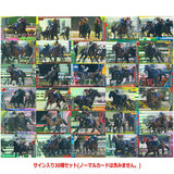 Thoroughbred Horse Collection Twin Wafers Part.3 [Signed 30 type set (Normal Cards are NOT including)]