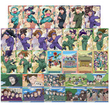 TV Anime Nintama Rantaro Wafer [All 30 type set(Full Complete)]