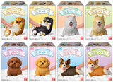Mocchirikororin Dog [All 8 type set (Full Complete)]