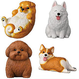 Mocchirikororin Dog [Assorted 4 type set (1.3.5.7)]